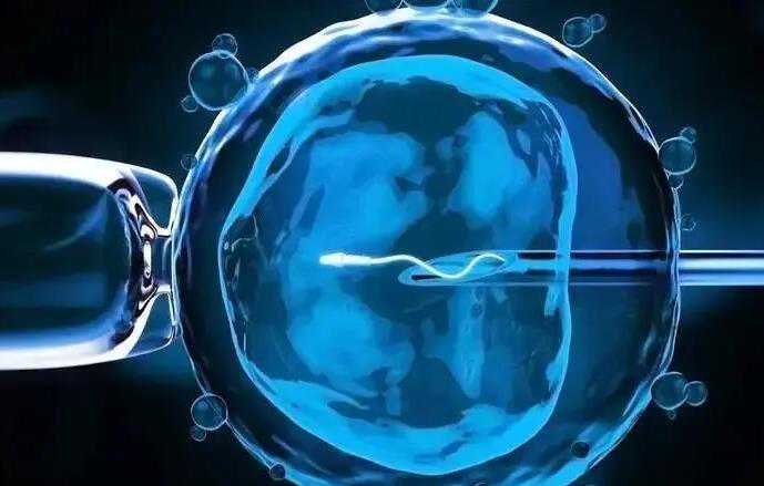 <b>沈阳代孕胚胎移植|宁波供卵试管医院排名第一的医生</b>